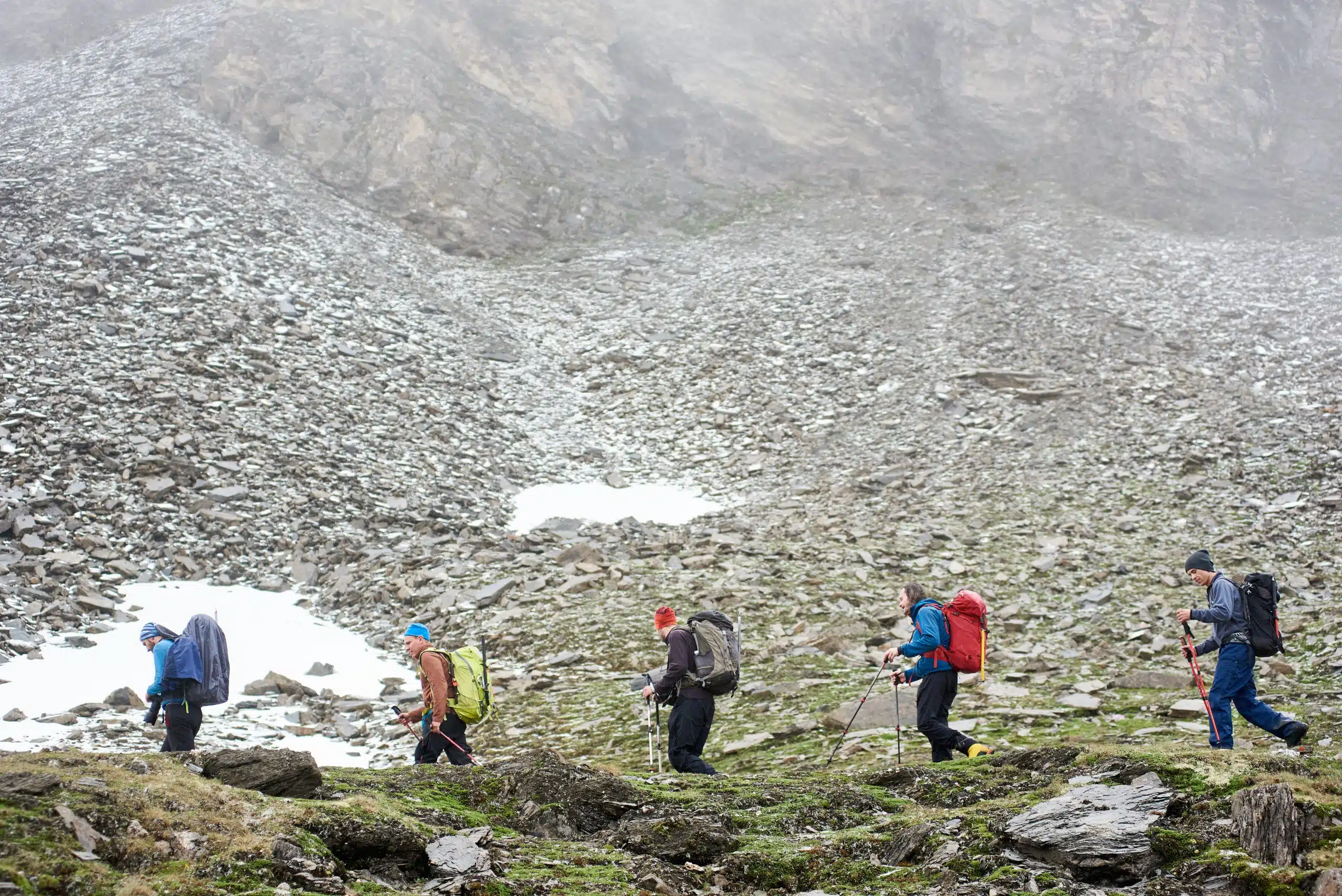 Hikers on a hike with hiking poles